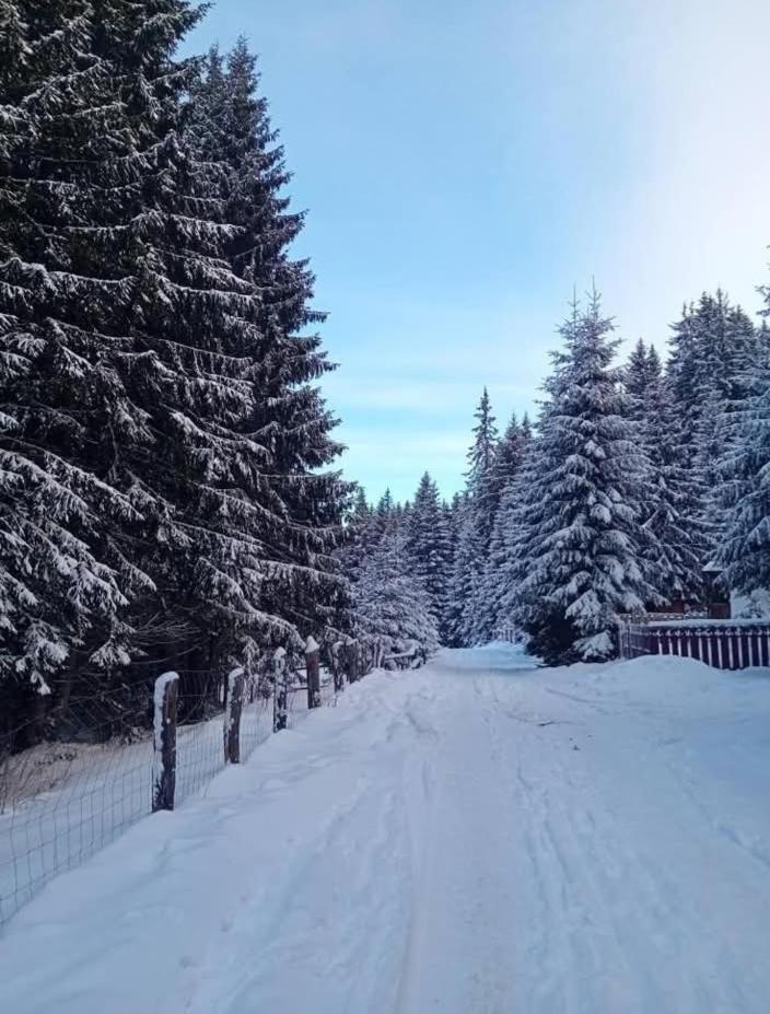 Andilak vendégház Sintimbru-Bai Exterior foto